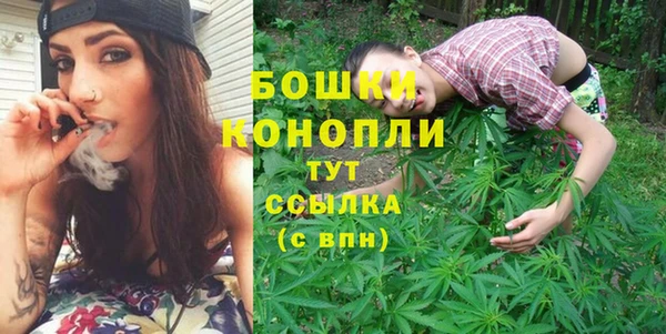 стаф Михайловск