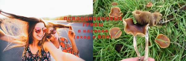 mdma Медвежьегорск