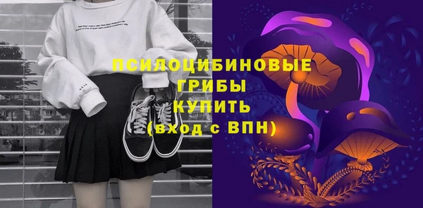 стаф Михайловск