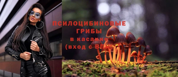 каннабис Михайловка