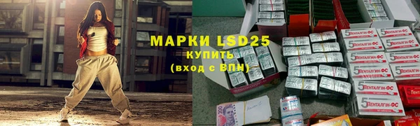 стаф Михайловск