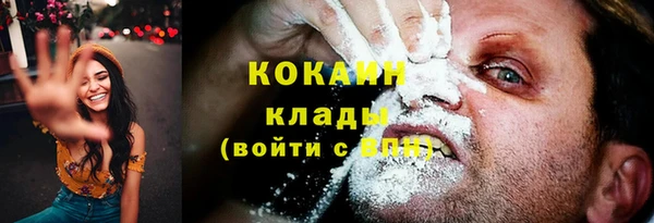 стаф Михайловск