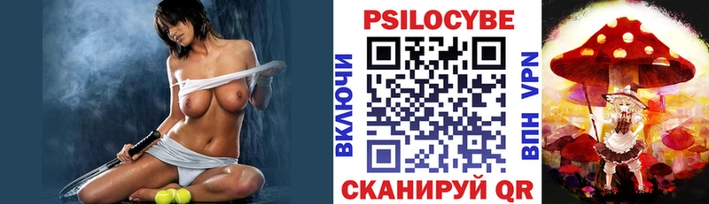 МЕГА tor Уссурийск Псилоцибиновые грибы Magic Shrooms цена
