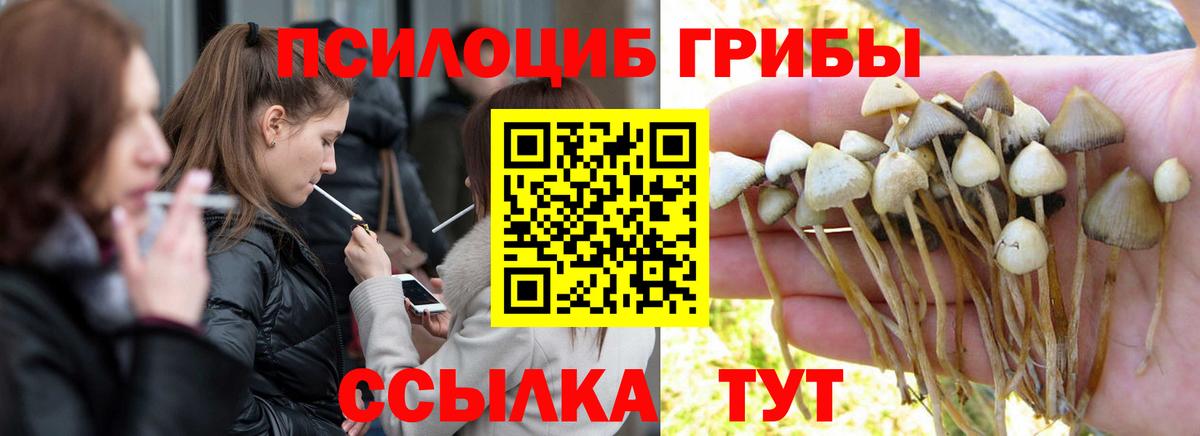 Уссурийск  Псилоцибиновые грибы Magic Shrooms  Вход с VPN 